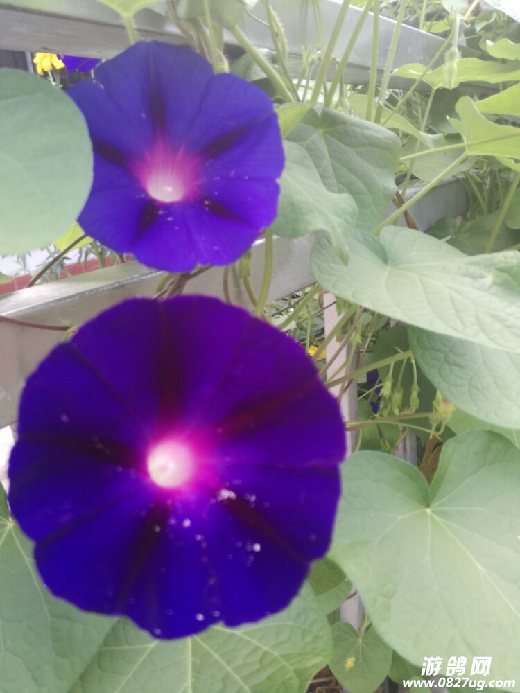 20170813_167440_1502624735053.jpg