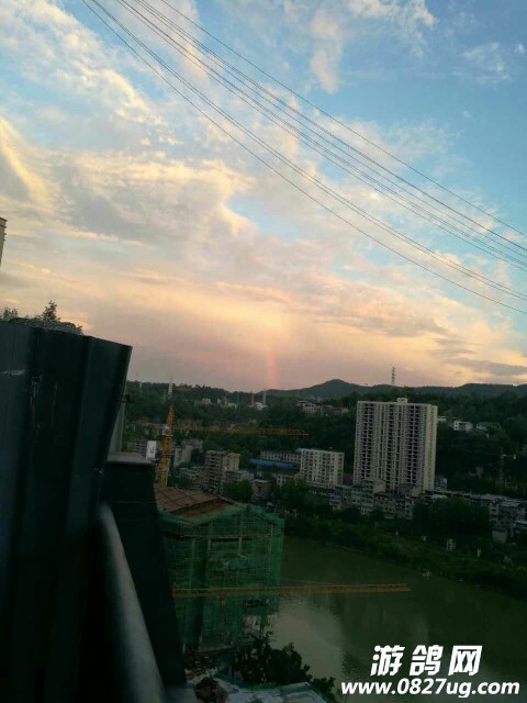 20170813_153934_1502626179484.jpg