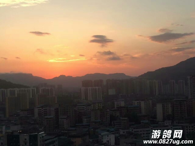 20170813_153934_1502626179541.jpg