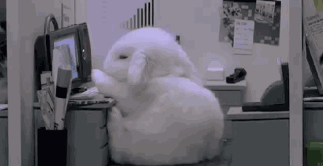 01111.gif