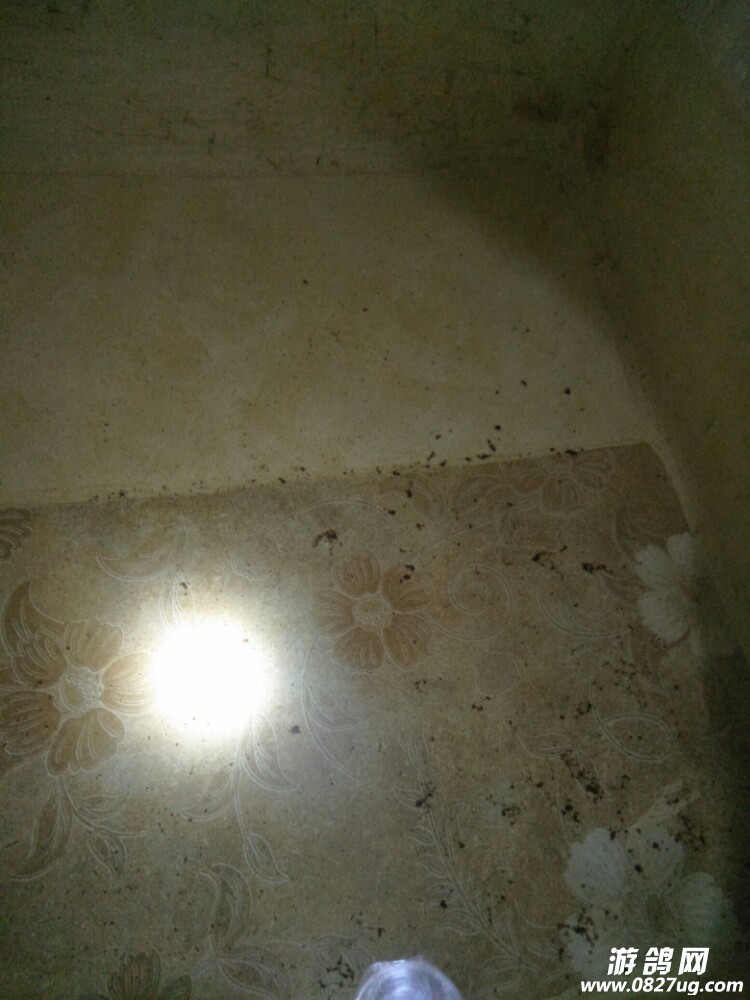 20170822_171125_1503385706815.jpg