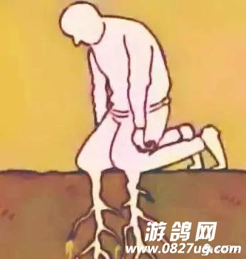 5.JPEG