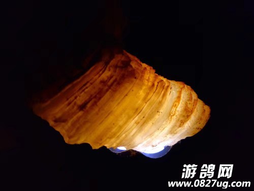 20170826_119649_1503753822885.jpg