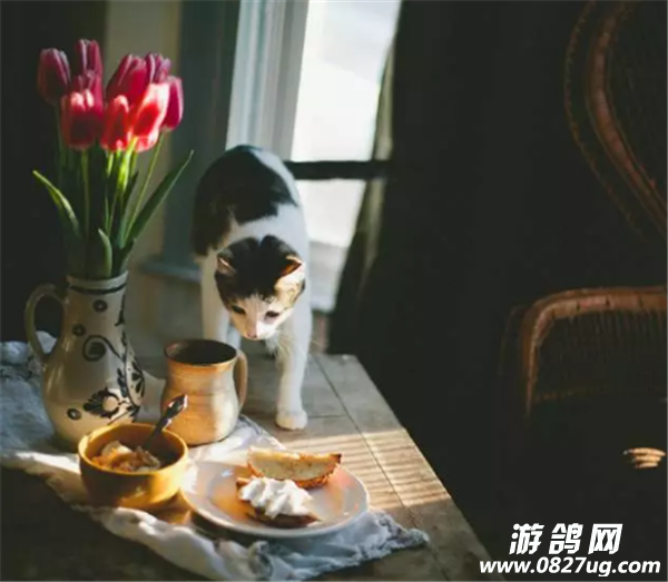 QQͼ20170903100558.png
