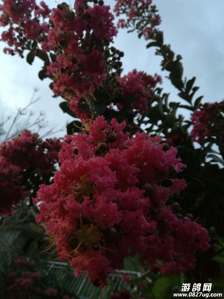 20170904_167440_1504509101874.jpg