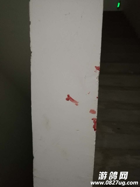 20170904_119649_1504536452899.jpg