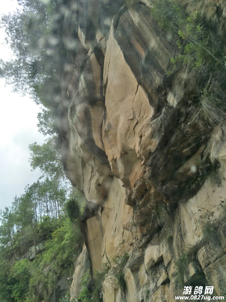 20170906_134571_1504698820567.jpg