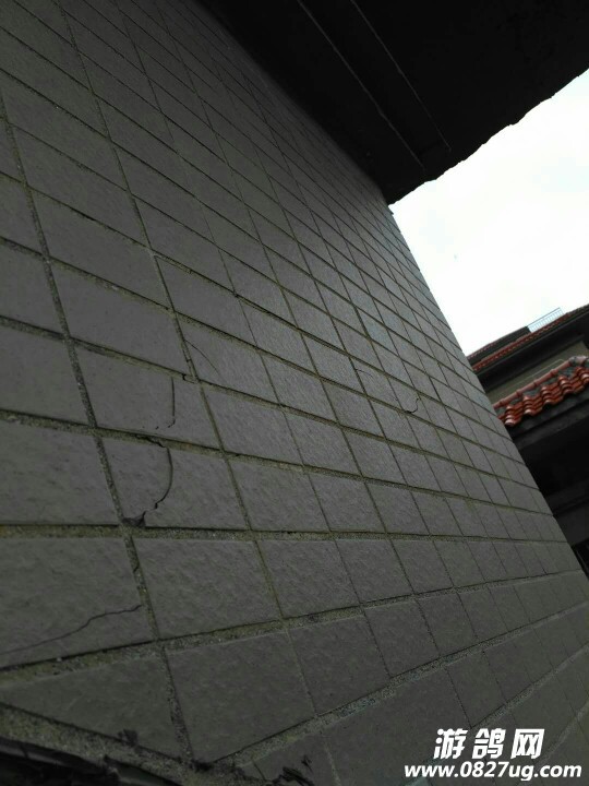 20170909_170881_1504924395284.jpg