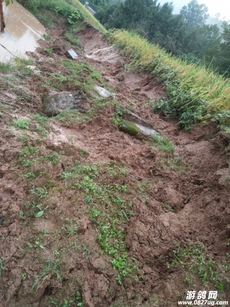20170909_173804_1504928581714.jpg