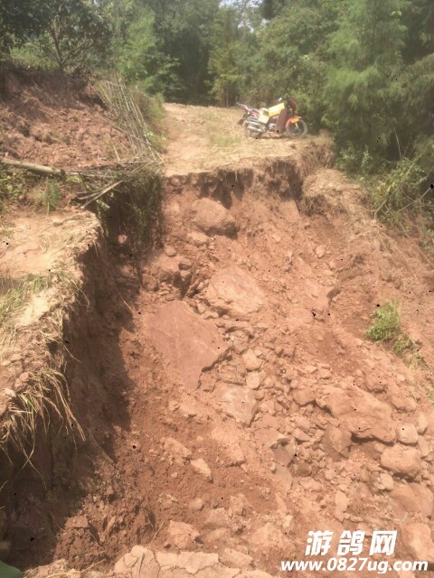 20170917_155990_1505646358196.jpg