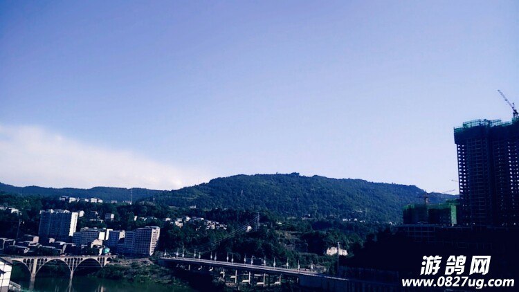 20170921_174981_1505930927549.jpg