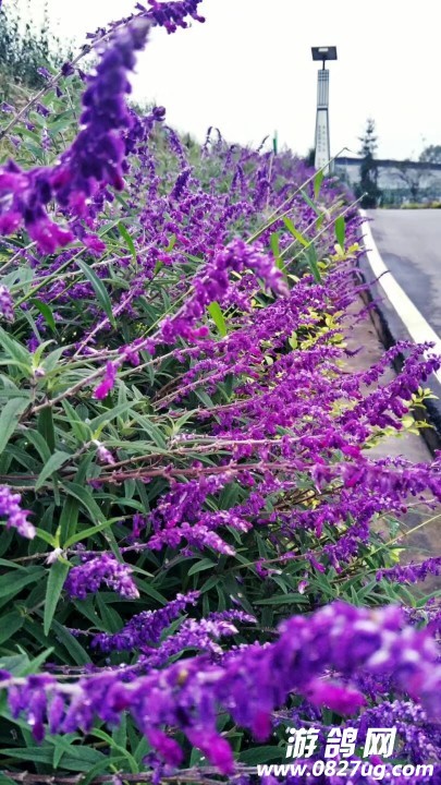 20170926_23076_1506379377872.jpg