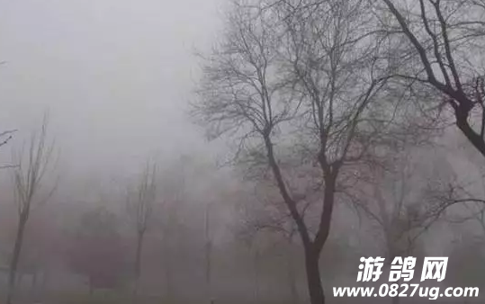 QQͼ20170929085448.png