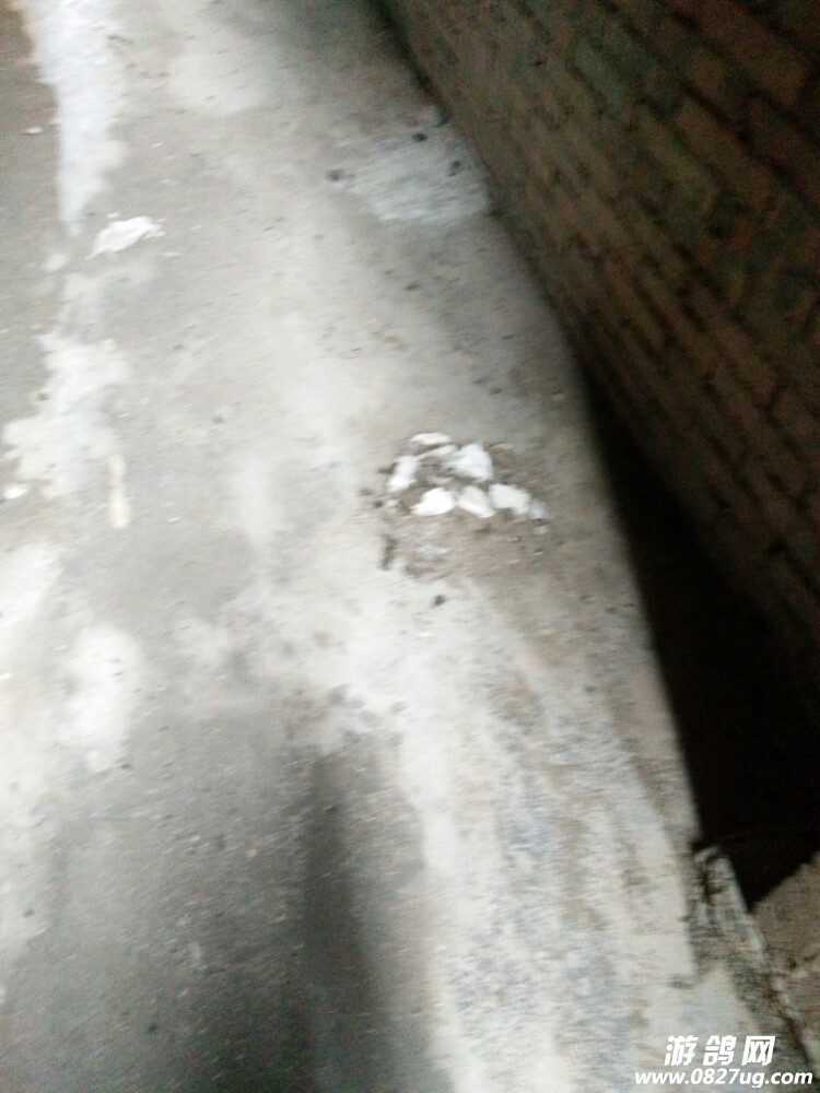 20170929_126011_1506666410727.jpg