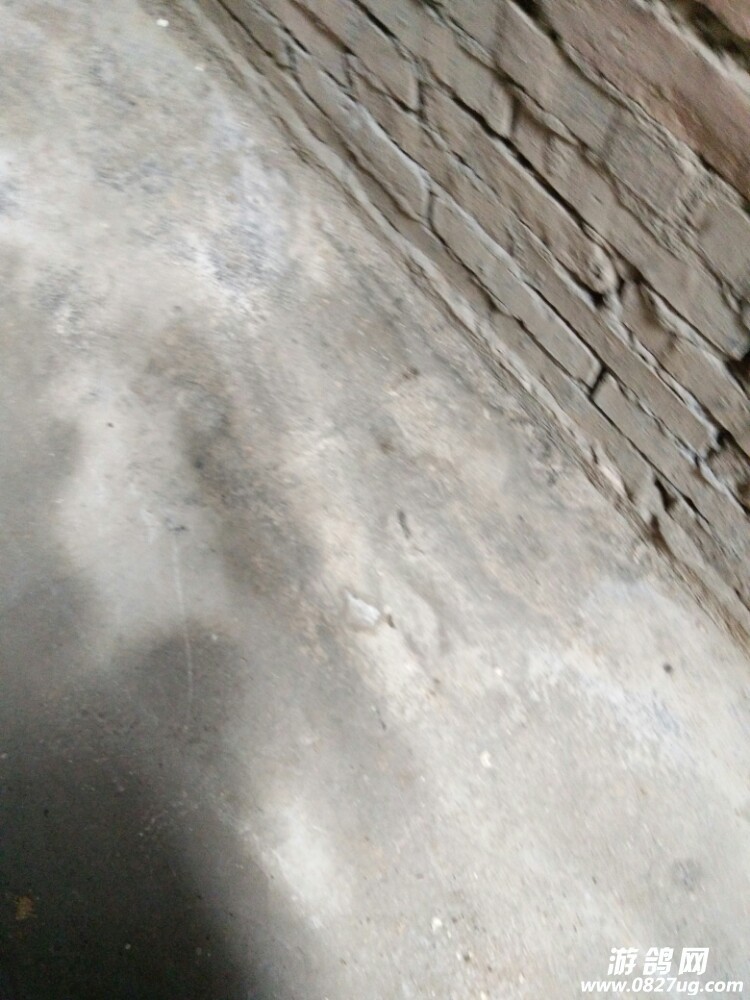 20170929_126011_1506666411163.jpg