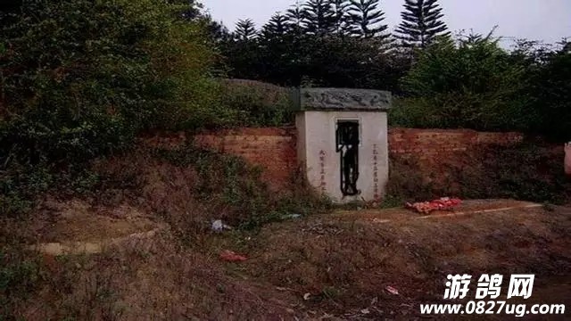 20171005_23076_1507161672241.jpg