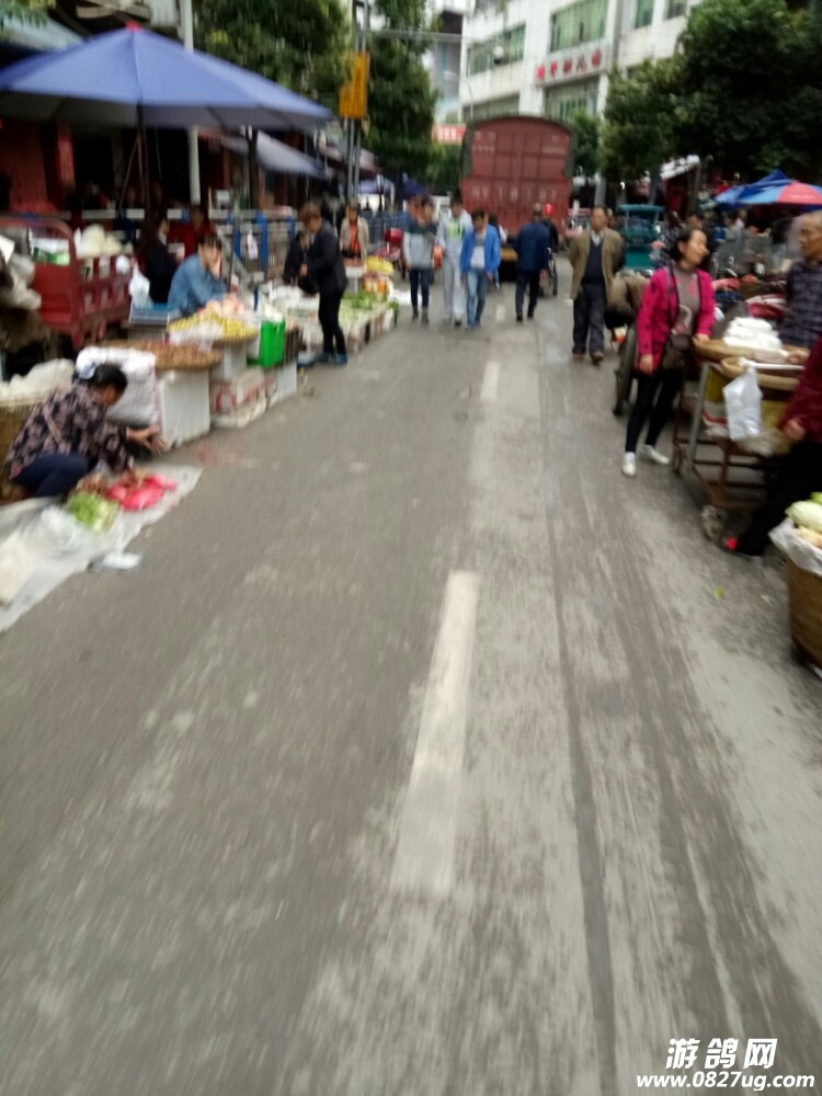 20171005_133230_1507197123818.jpg