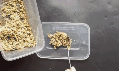 7.gif