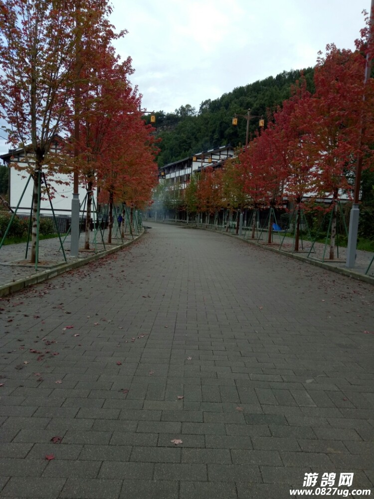 20171012_162932_1507820666625.jpg