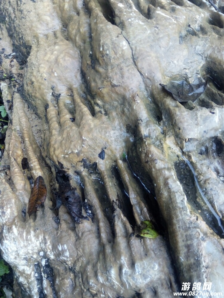 20171017_140680_1508234883885.jpg