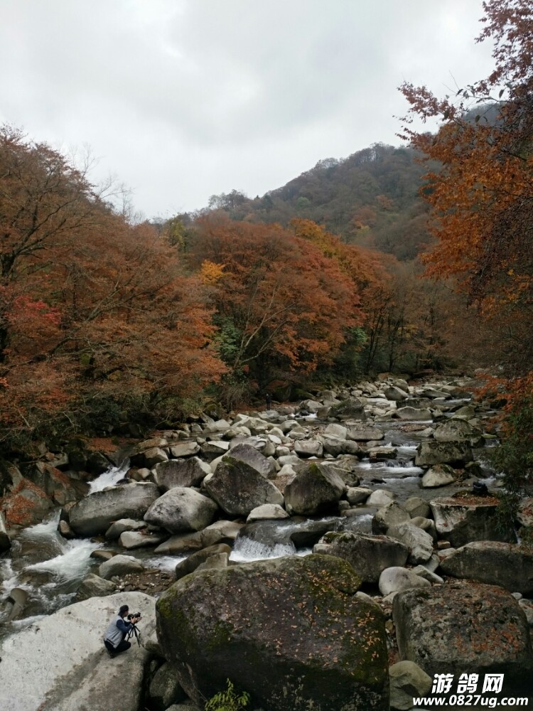 20171101_167980_1509535042342.jpg
