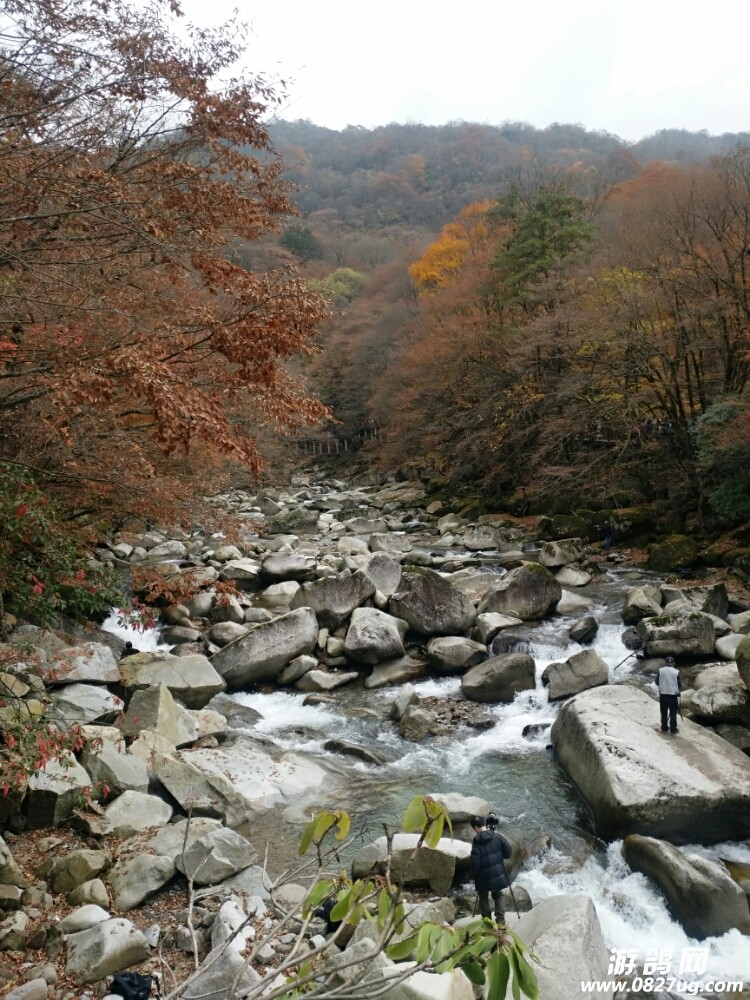 20171101_167980_1509535043694.jpg