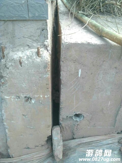 20171107_156343_1510026809526.jpg