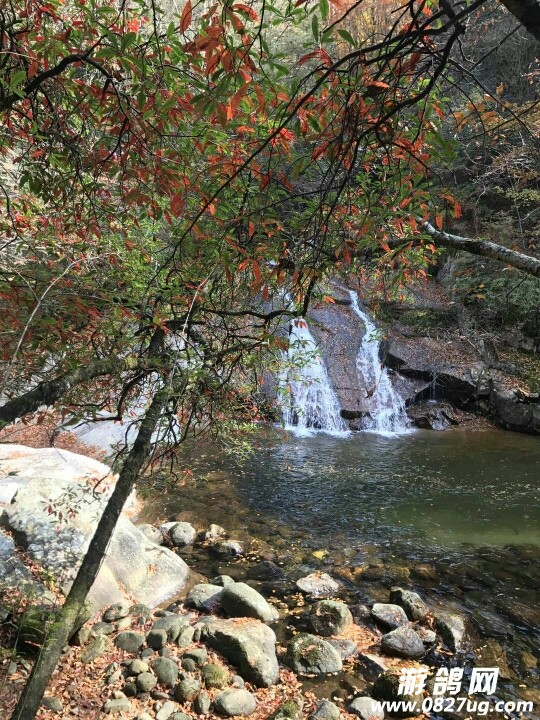 20171107_160197_1510043703812.jpg