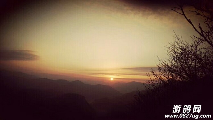 20171108_160197_1510103489049.jpg