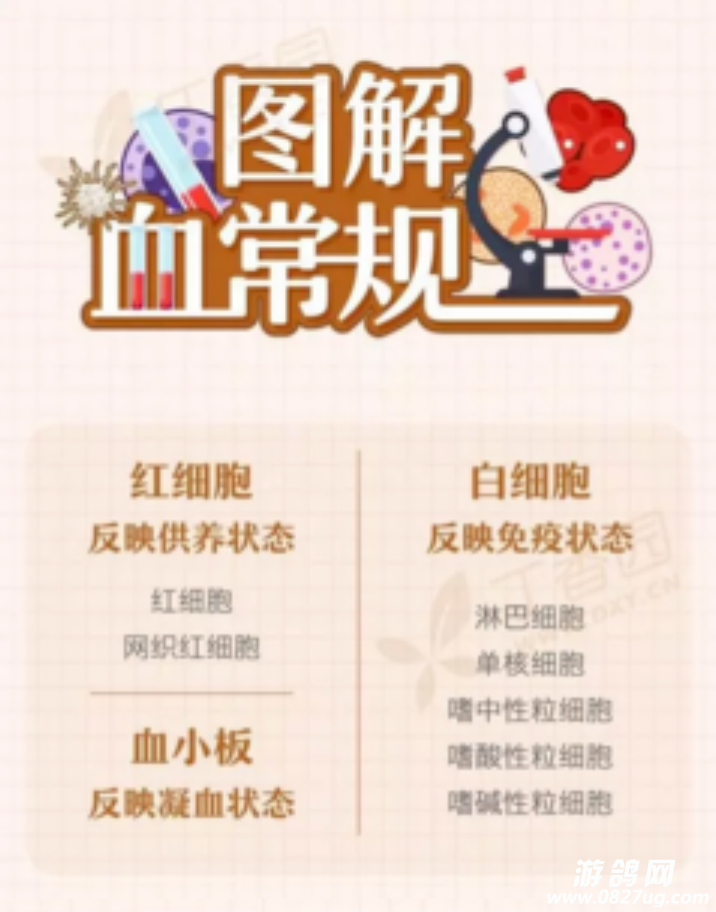 真的太实用了一图读懂血常规