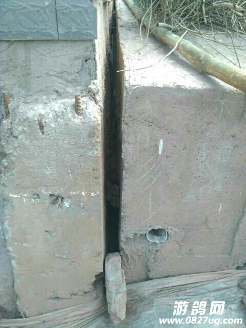 20171118_156343_1510949272090.jpg