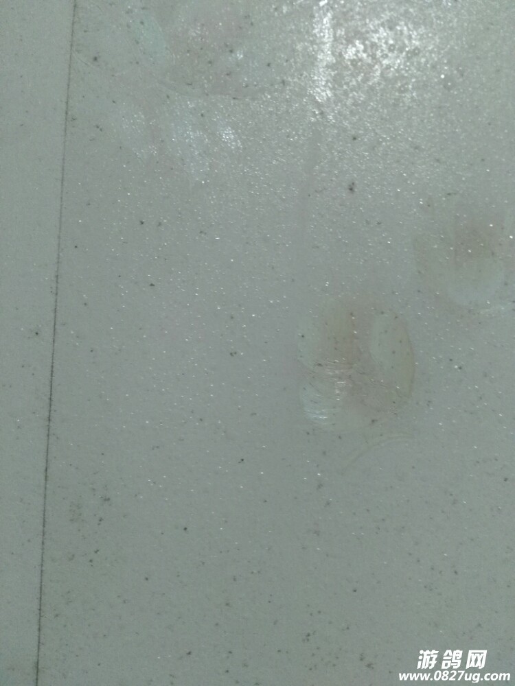 20171128_167603_1511874097848.jpg