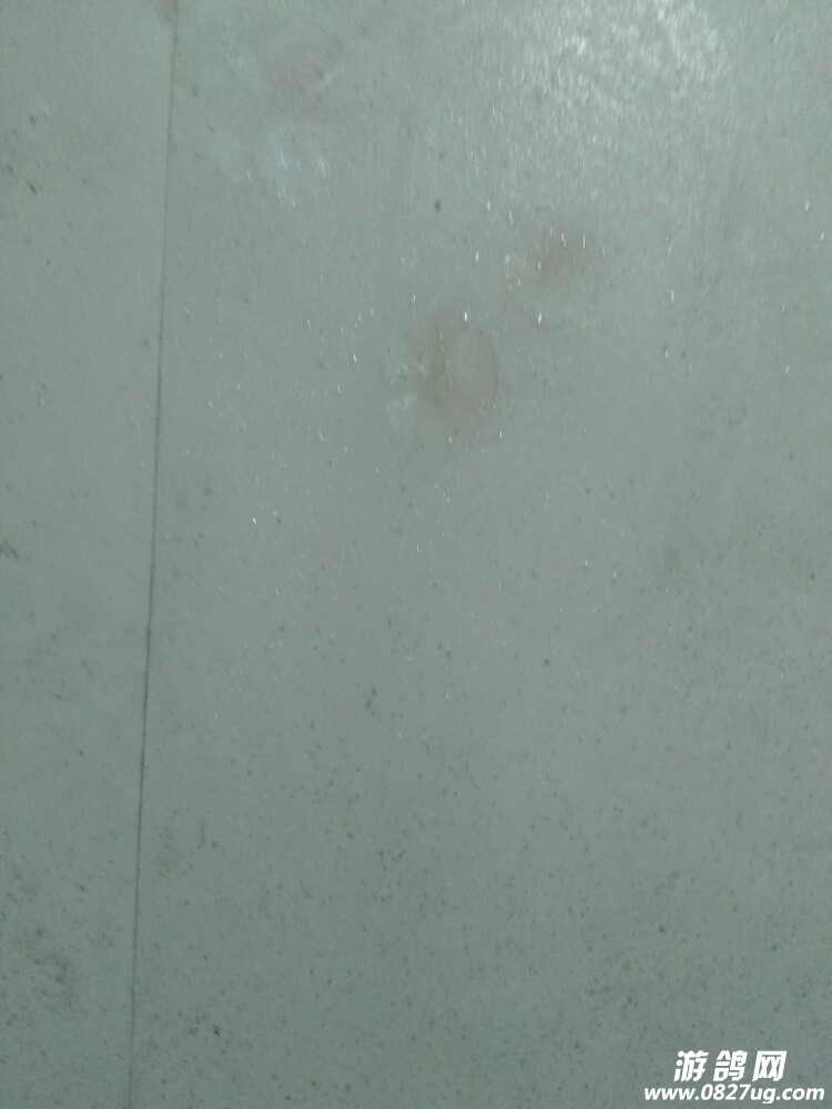 20171128_167603_1511874098880.jpg