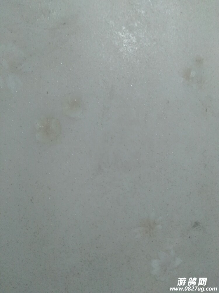 20171128_167603_1511874099321.jpg