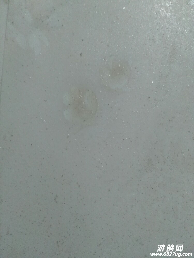 20171128_167603_1511874100199.jpg
