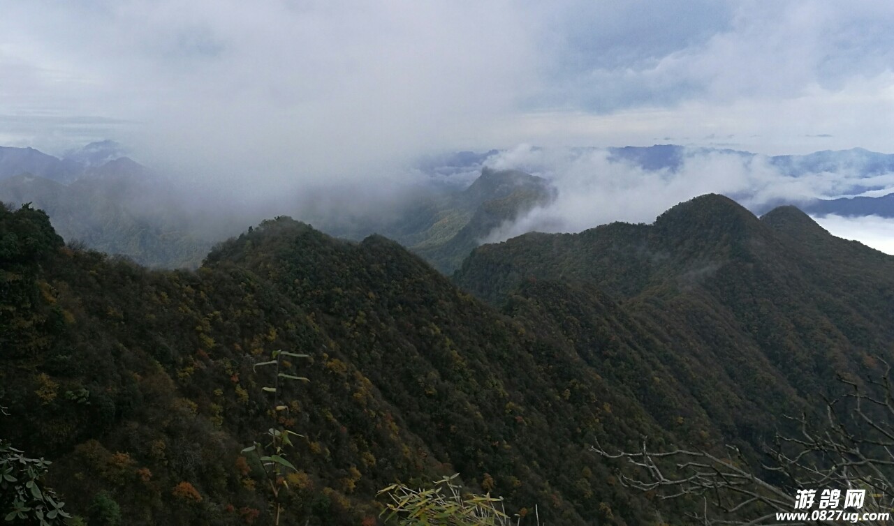 20171203_168269_1512275814390.jpg