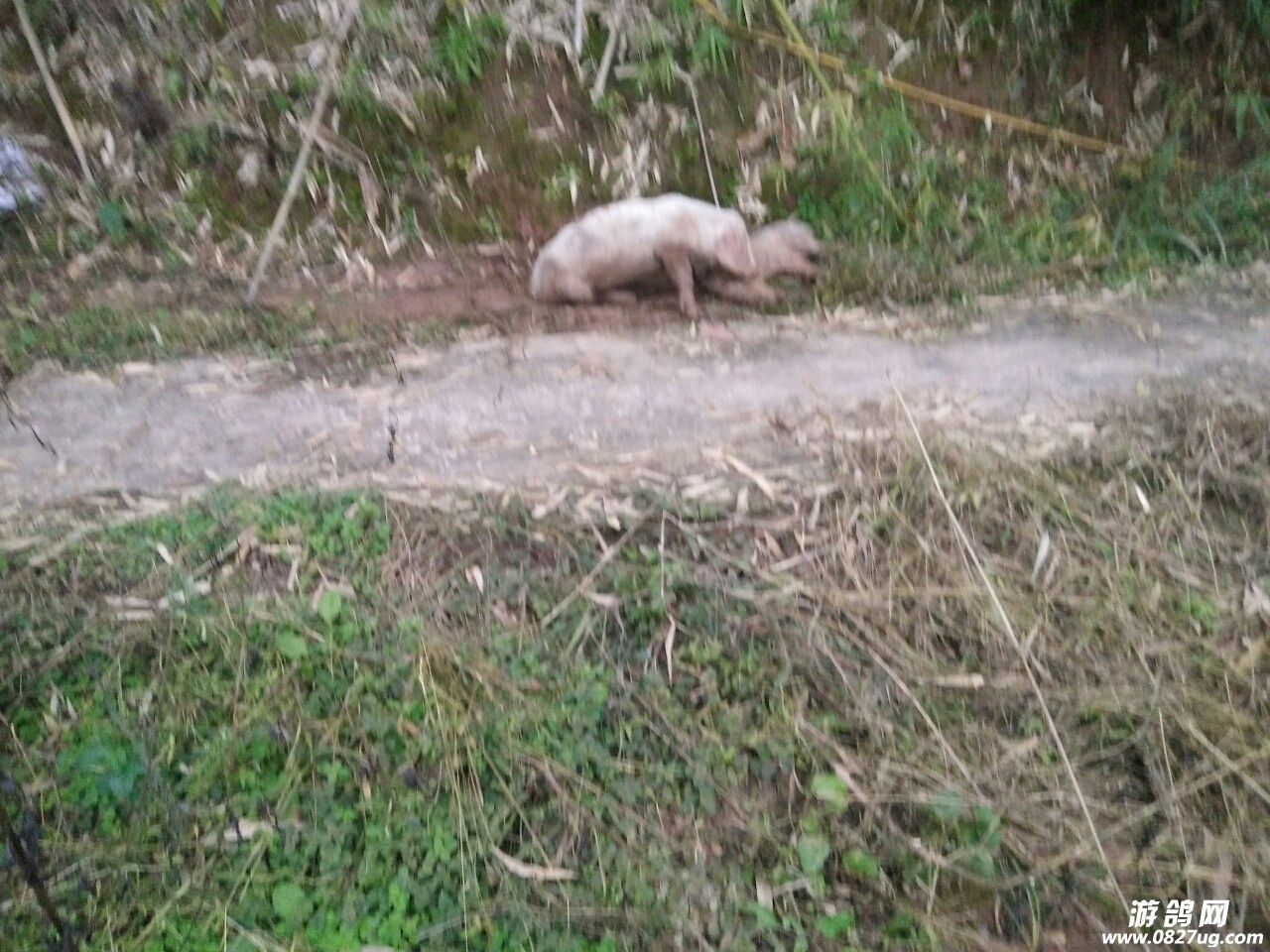 20171205_182507_1512474100142.jpg