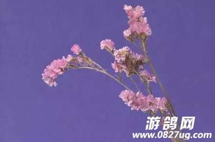 20171224_163576_1514123888425.png