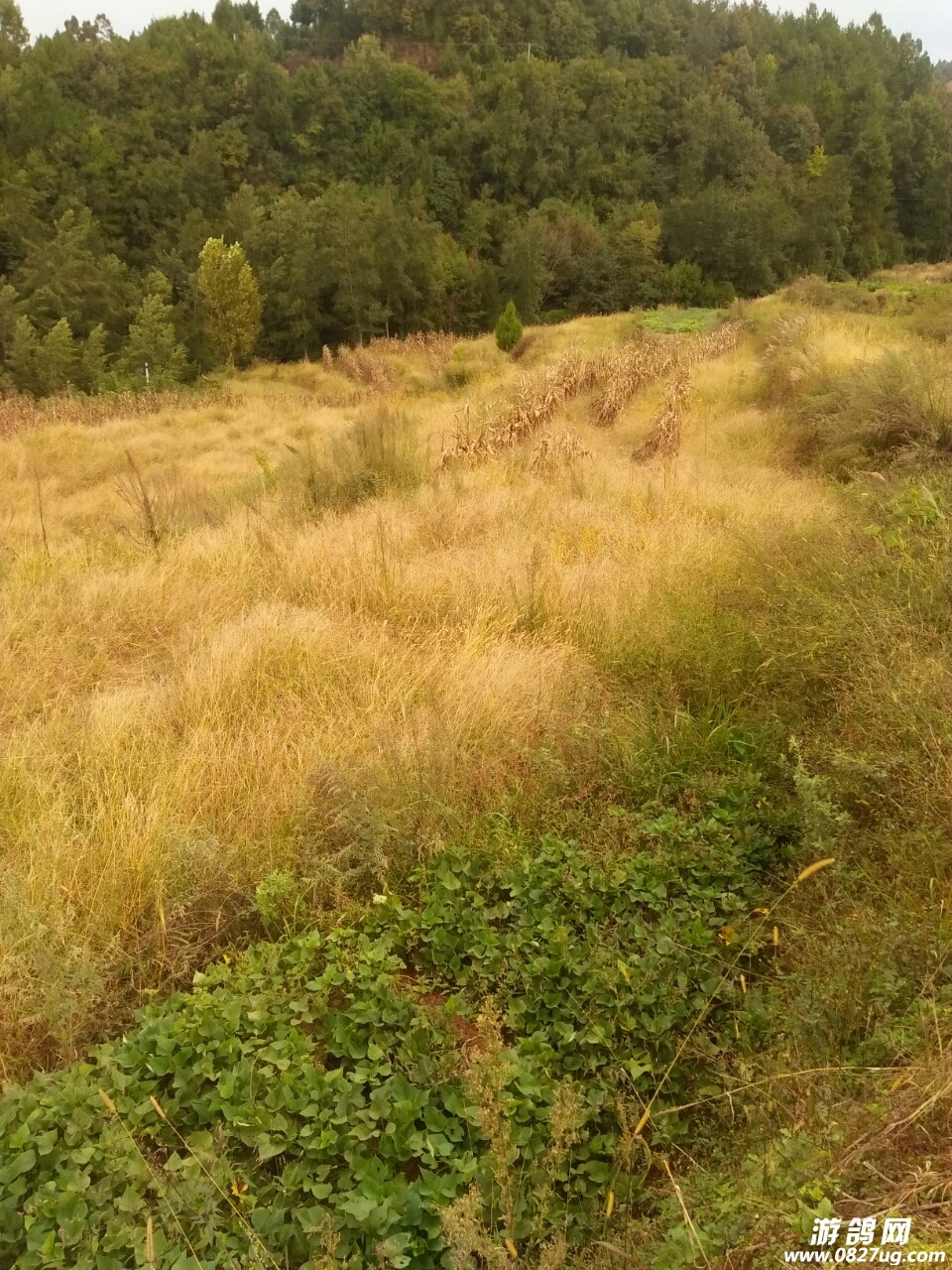 20171228_151143_1514463750744.jpg