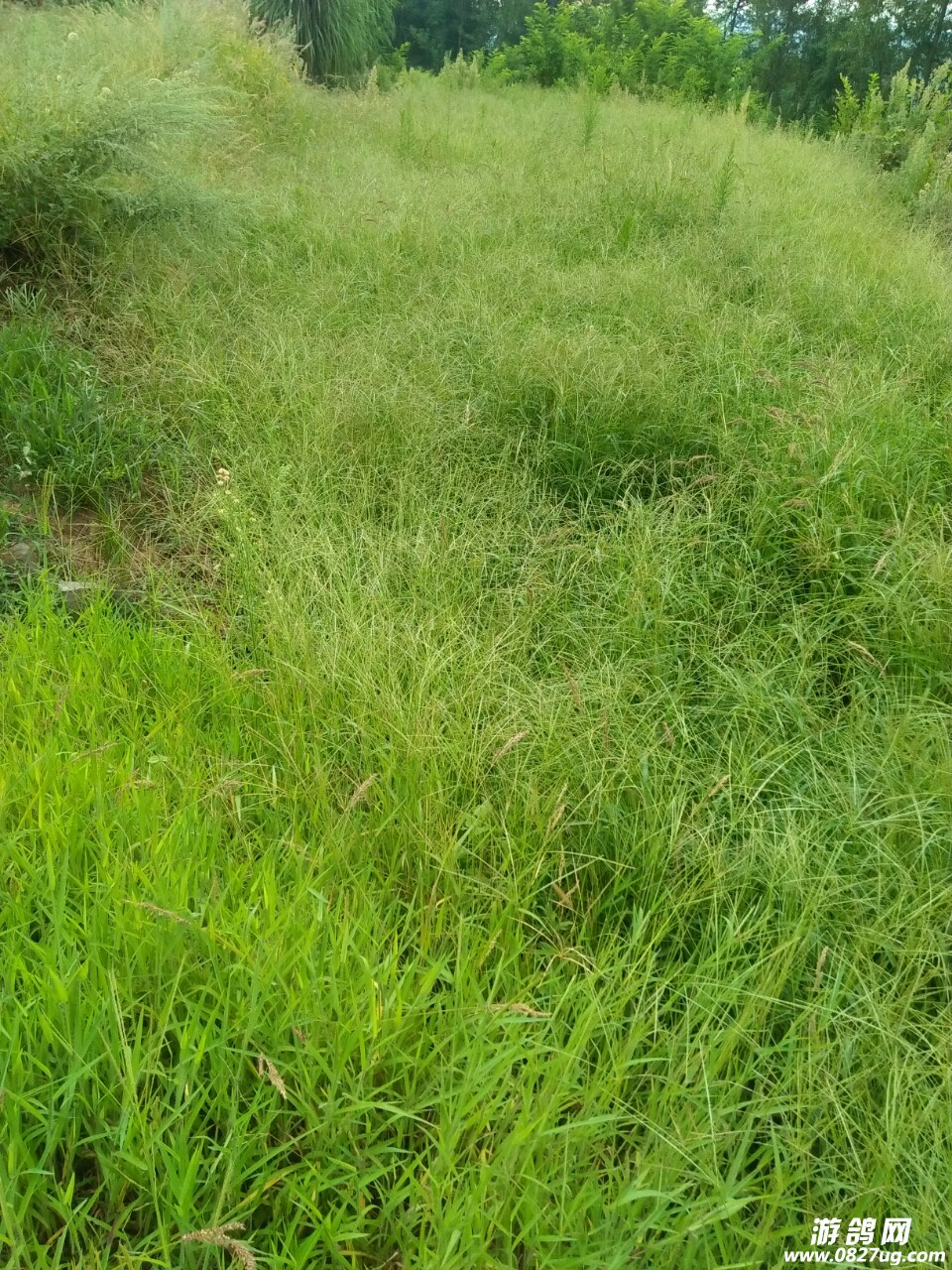 20171228_151143_1514463754403.jpg