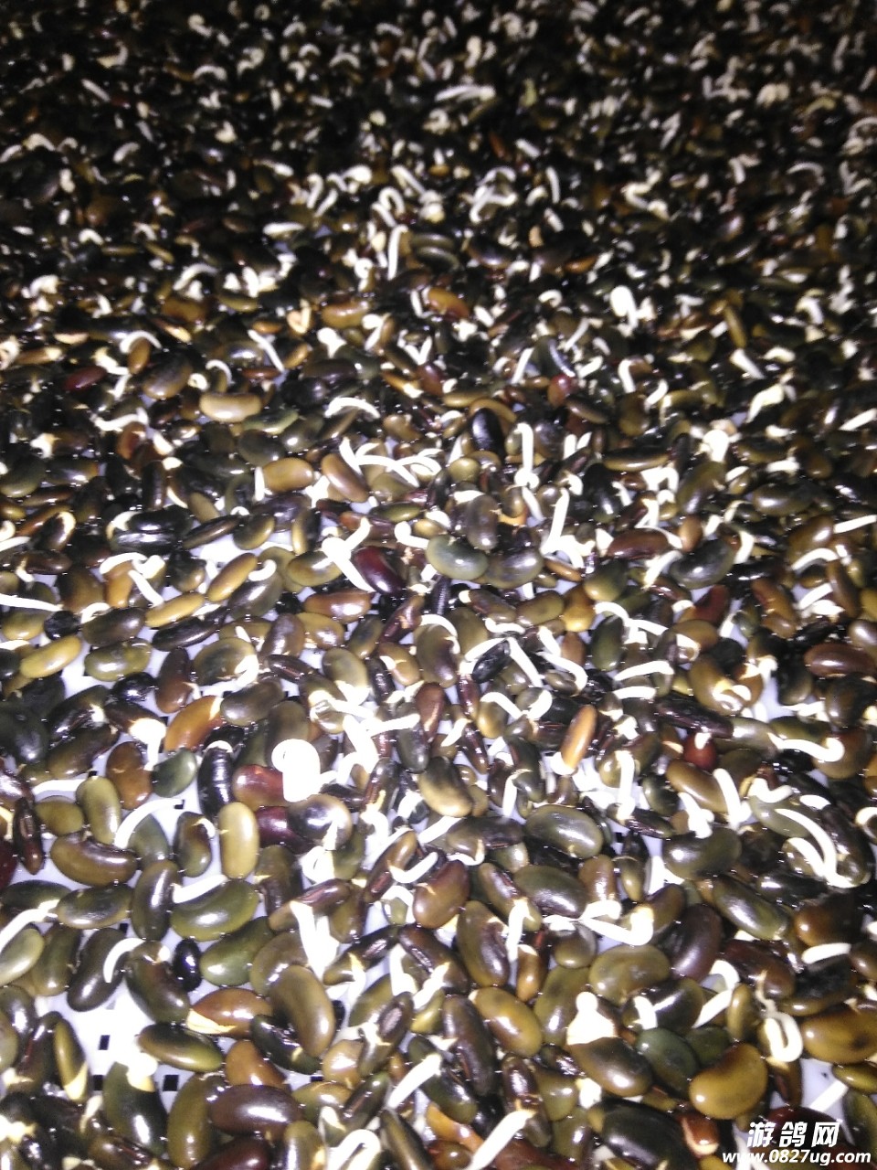 20171230_185900_1514612649669.jpg