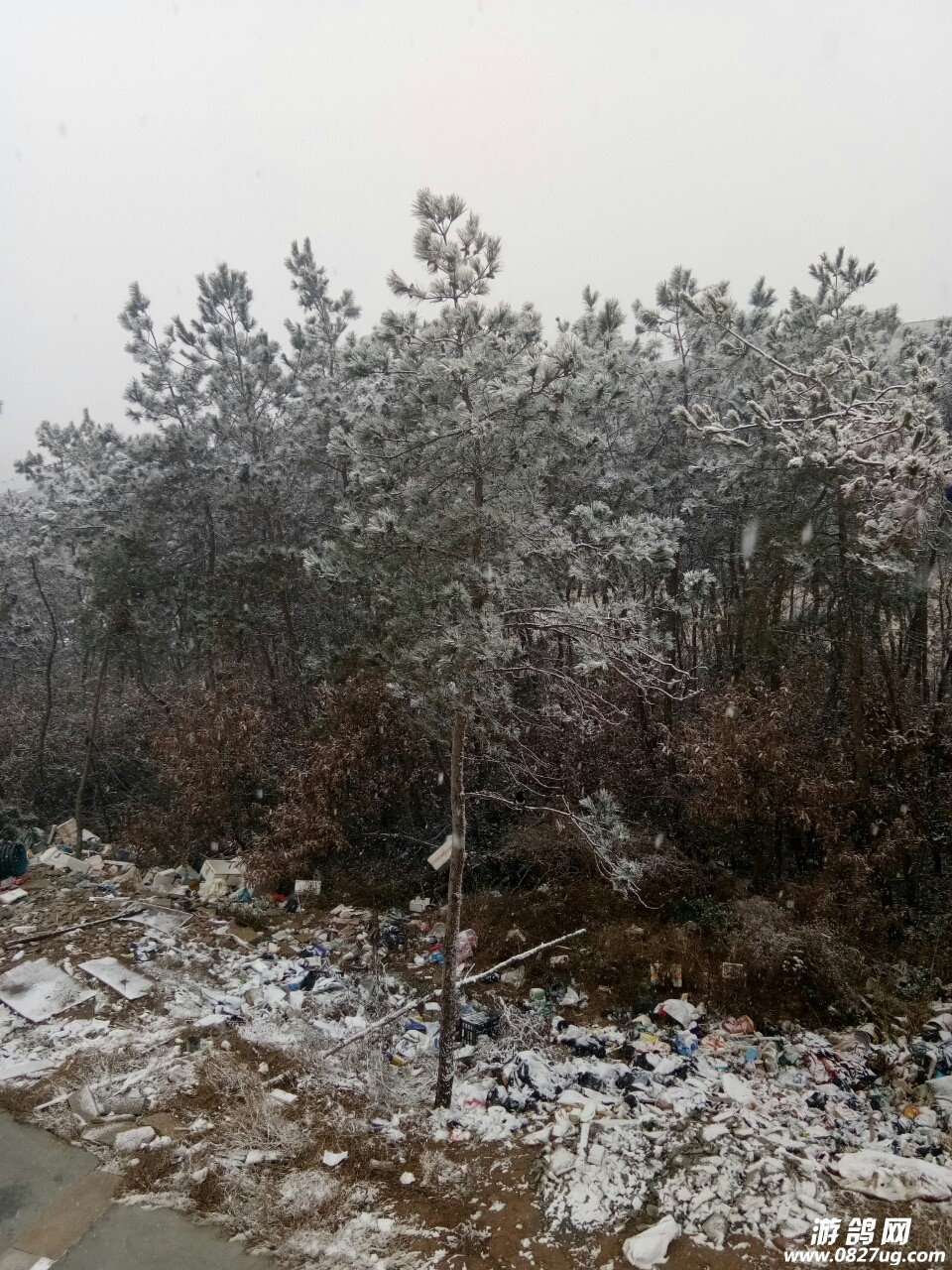 20180103_143715_1514953272302.jpg