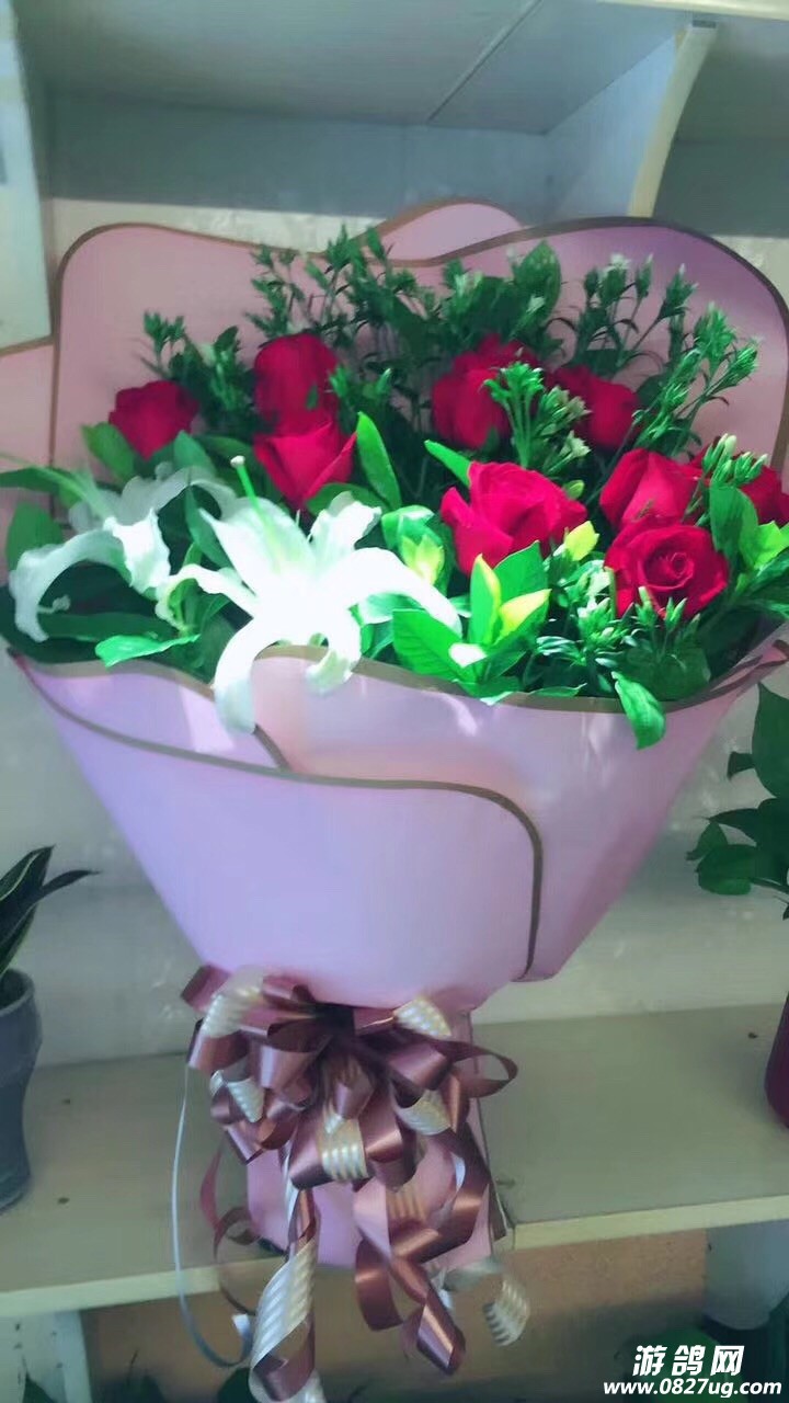 201801031700961514982999389035.jpg