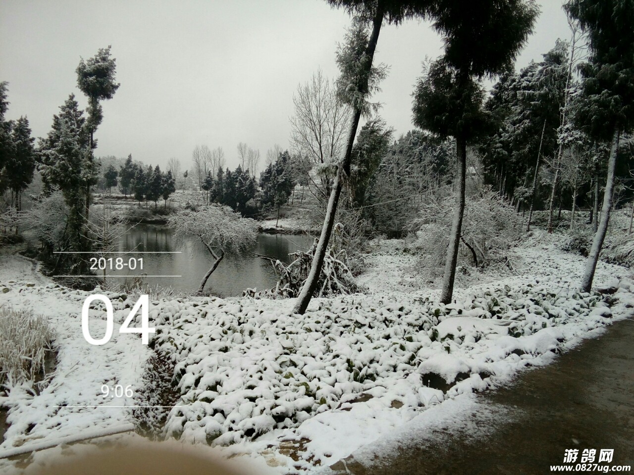 20180104_109323_1515028846646.jpg