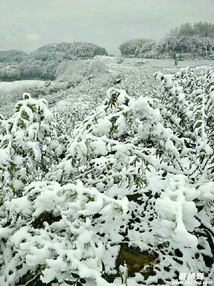 20180104_162854_1515061169942.jpg