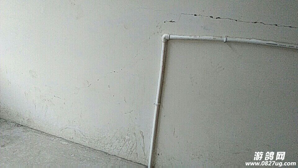 20180105_165594_1515153833862.jpg