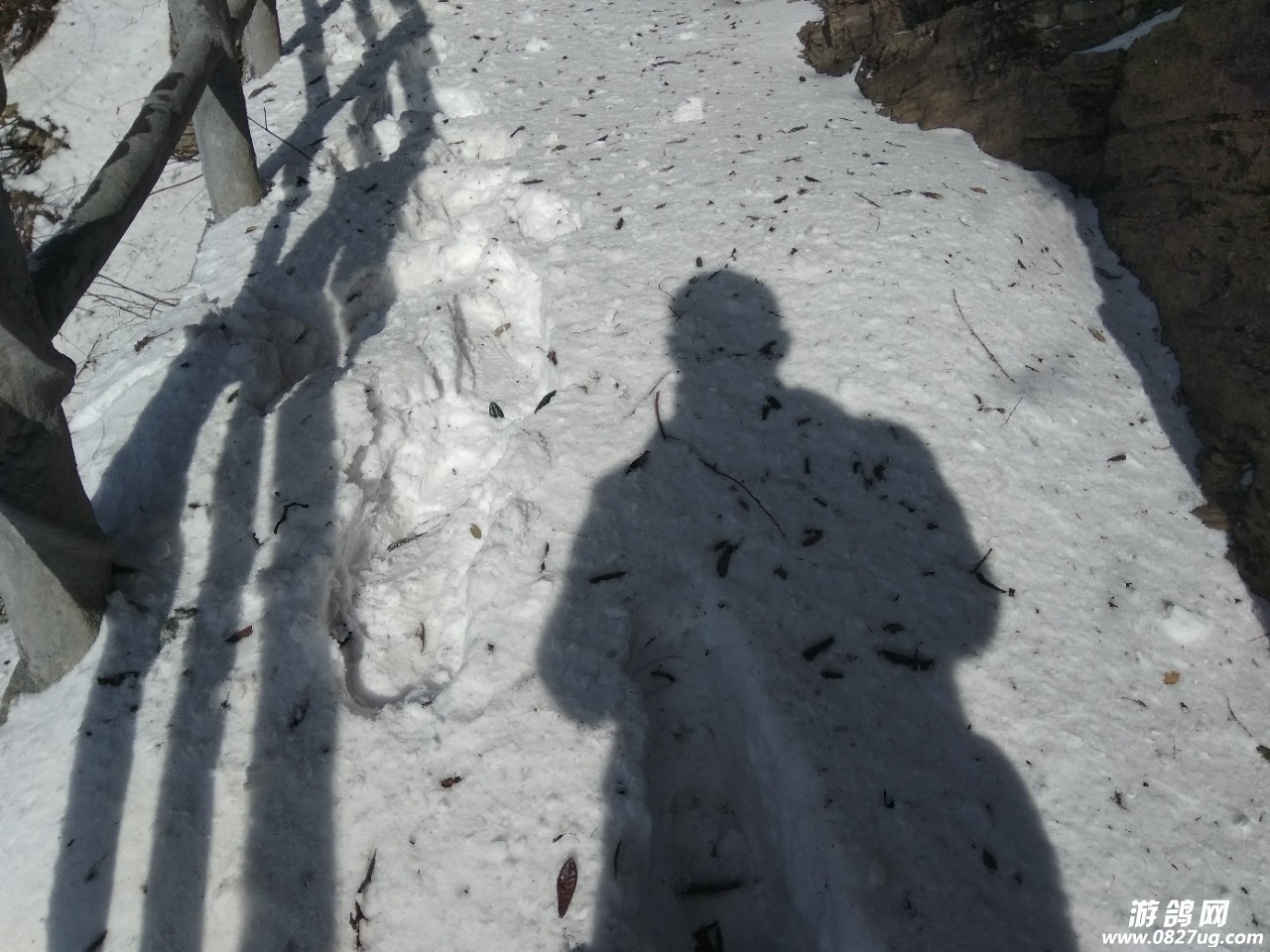 20180108_160197_1515409050093.jpg
