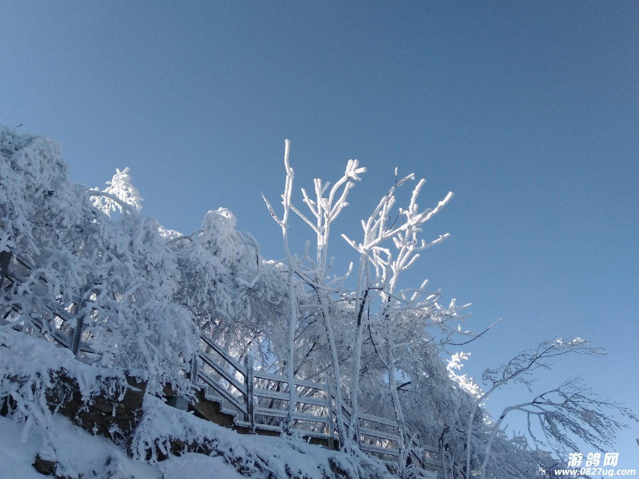 20180108_160197_1515409049248.jpg