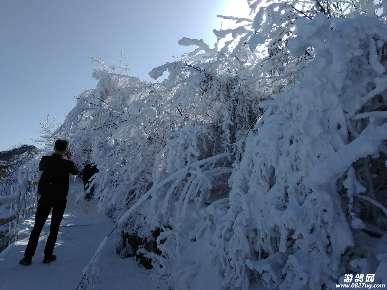 20180108_160197_1515409052529.jpg