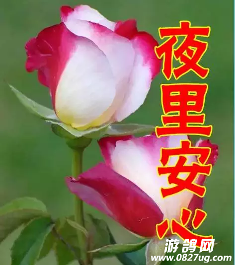 20180115_181106_1516023919862.png